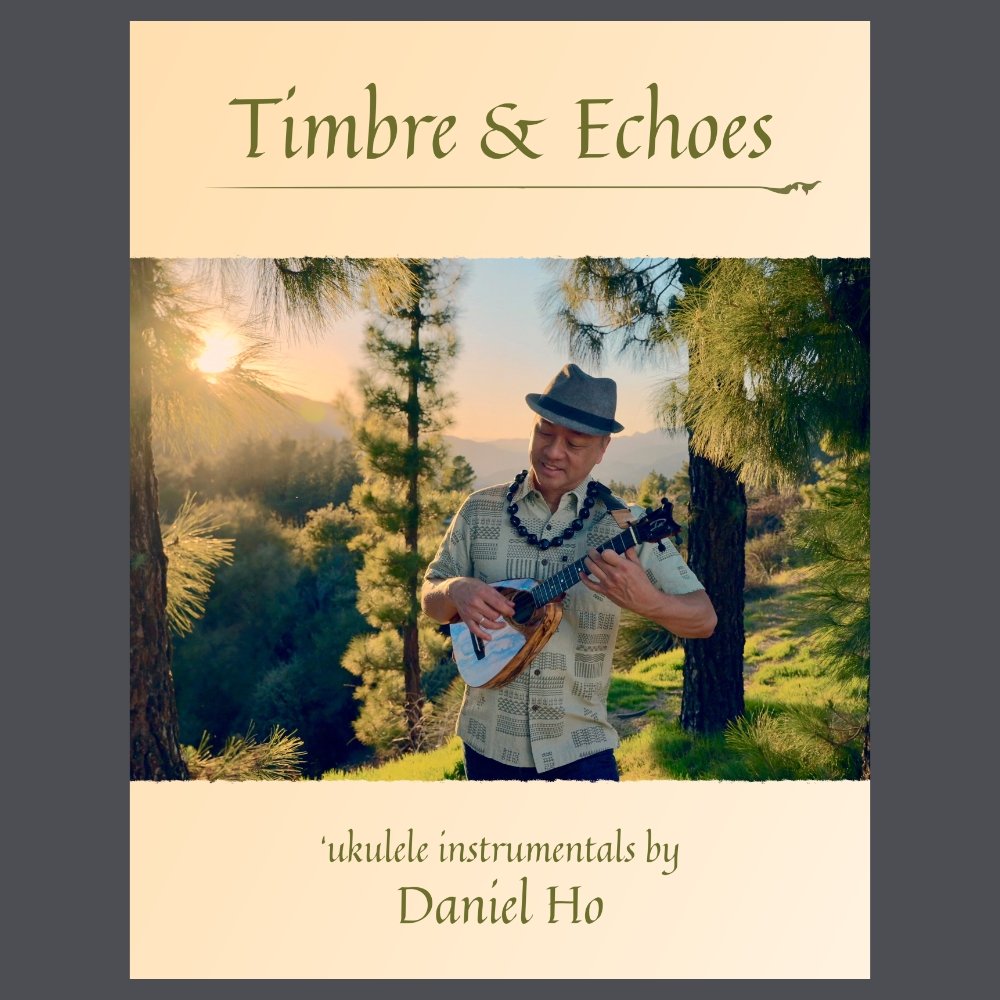 Timbre & Echoes book thumb cover.jpg