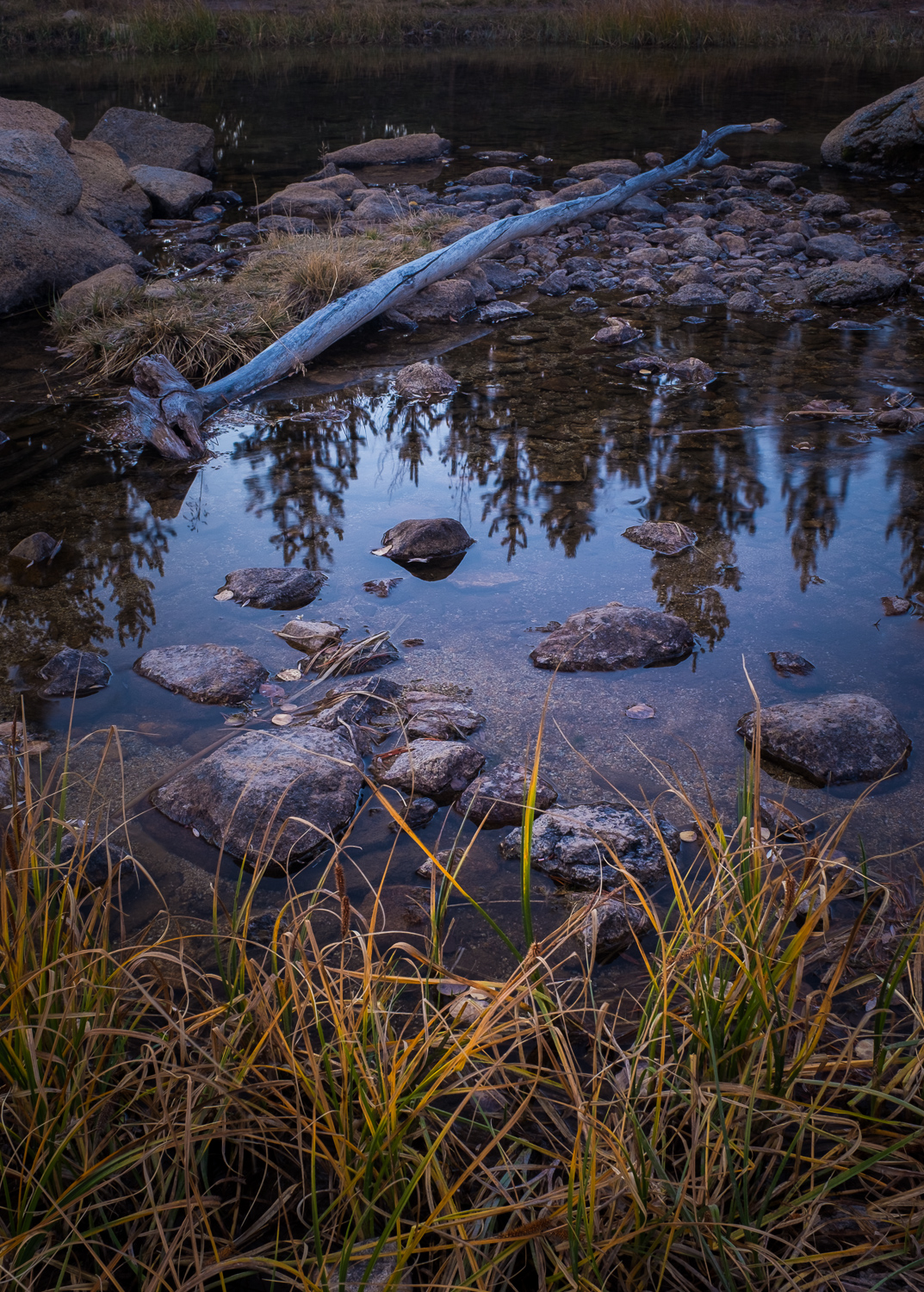 grant-longenbaugh-Eastern-Sierra-15.jpg