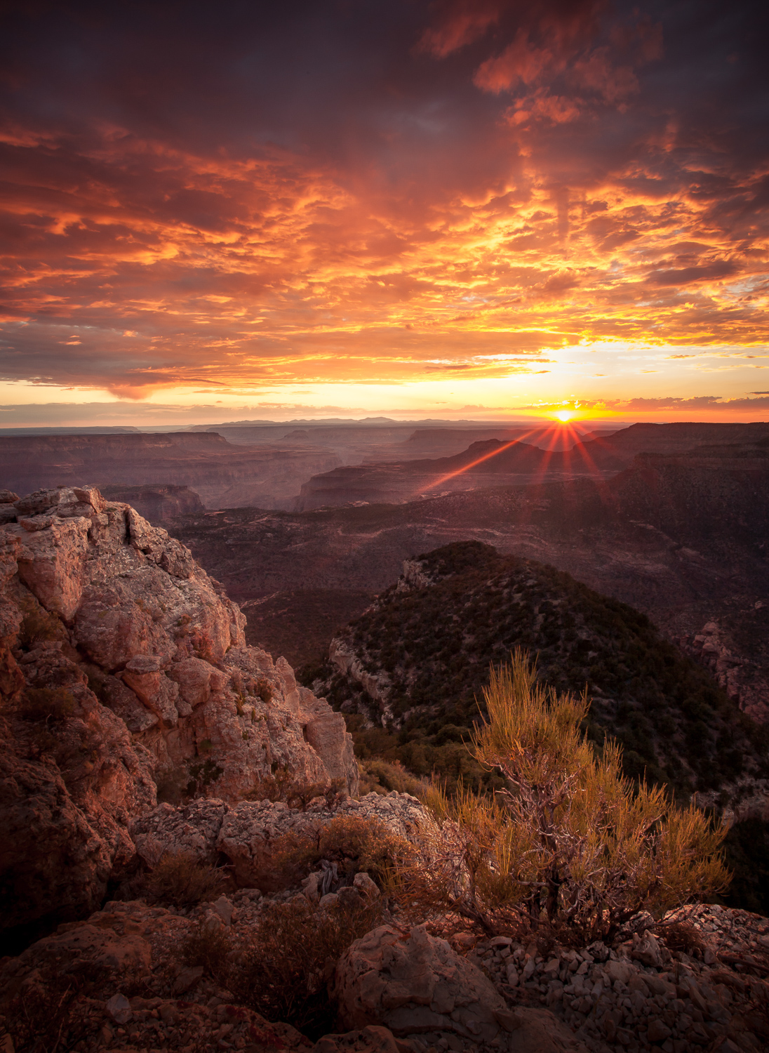 grant-longenbaugh-grand-canyon-20.jpg