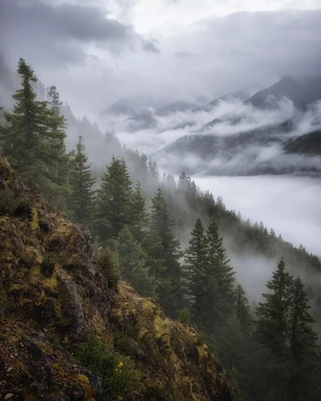 Fog ad infinitum from Storm King yesterday morning.
#olympicnationalpark #olympicpeninsula #stormking #pnw #pnwonderland #pnwphotographer #portangeles #fujixt1