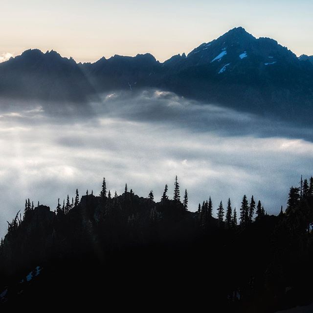 Sunrise in the olympics. 
#olympicpeninsula #olympicnationalpark #hurricanehill #pnwonderland #pnw #nps #fujifilm #fujifilmxt1