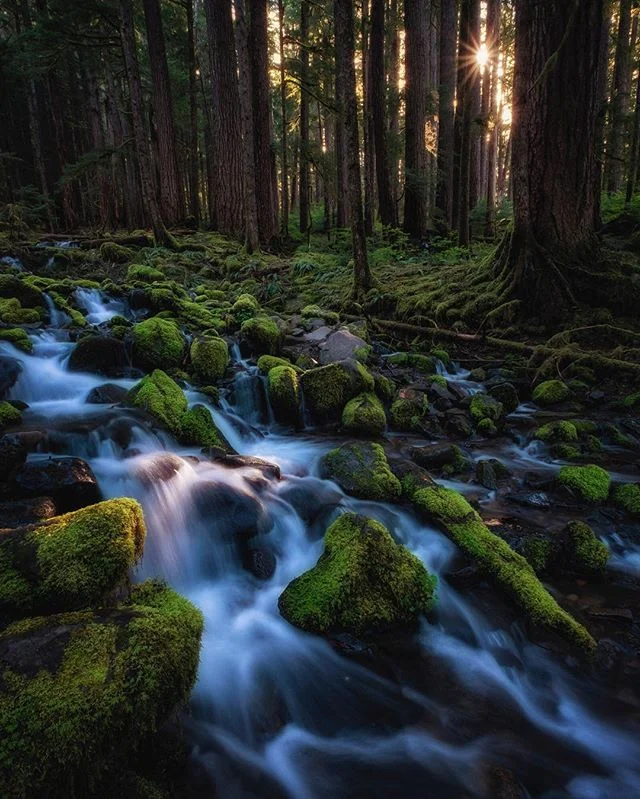 Sunrise in the Sol Duc Valley.

#olympicpeninsula #olympicnationalpark #pnw #solduc #pnwonderland #pnwphotographer #washingtonstate