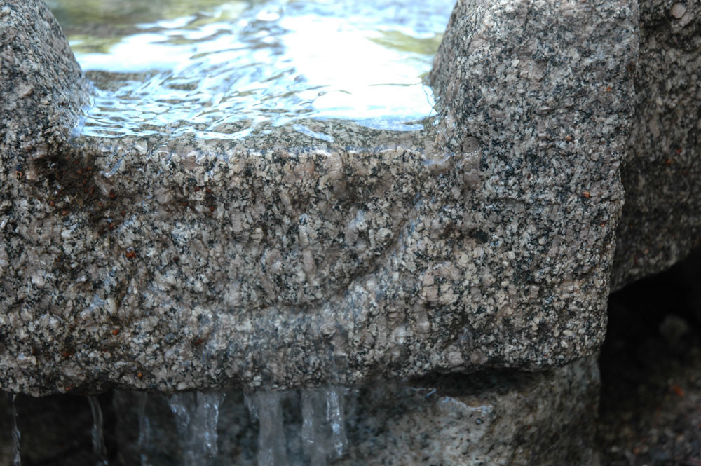 DSC_0005.jpg