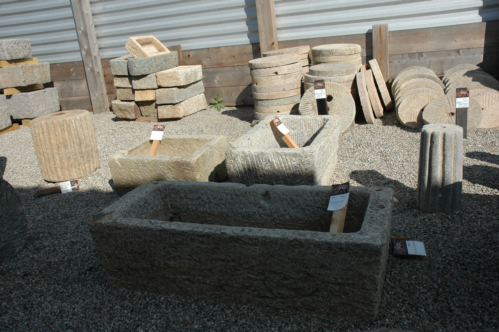 DSC_8184.jpg