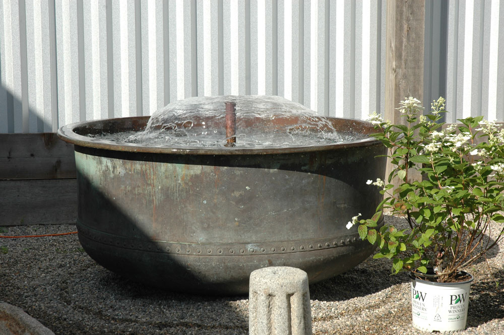 DSC_8195.jpg