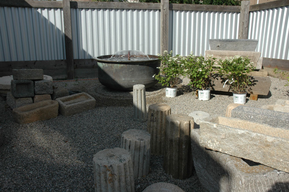 DSC_8196.jpg