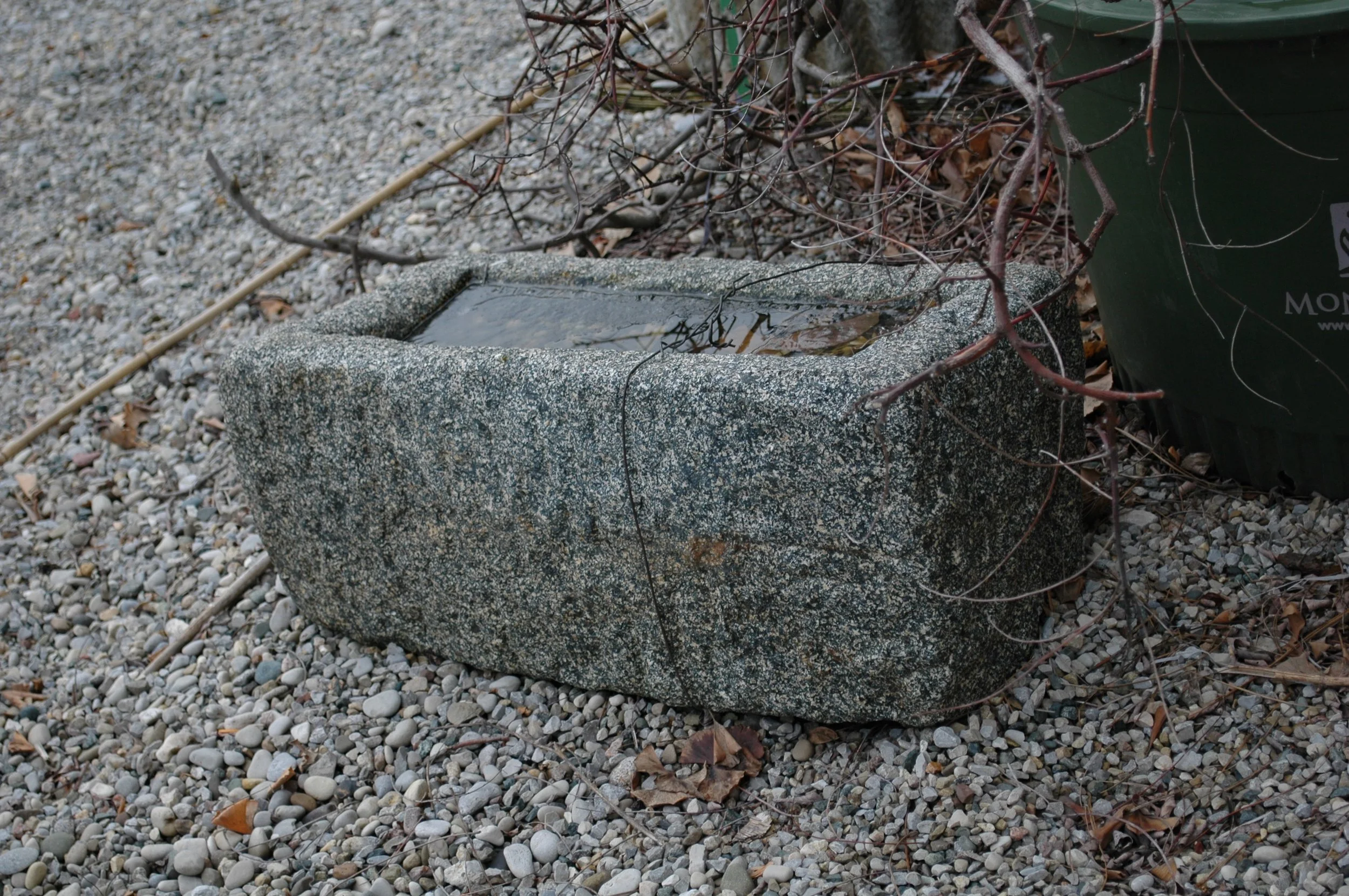 wt32-2.JPG