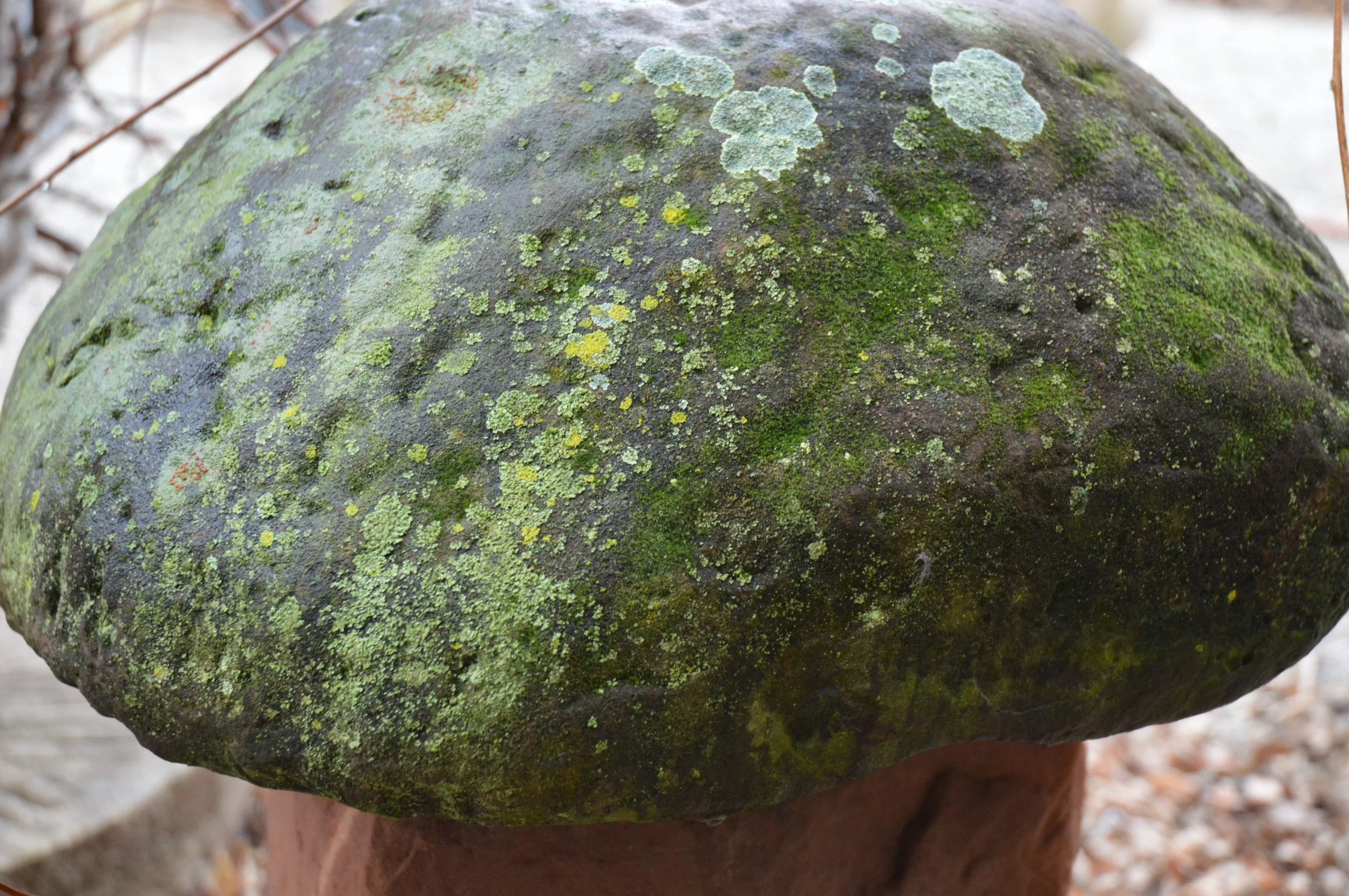 Staddle stone detail.JPG