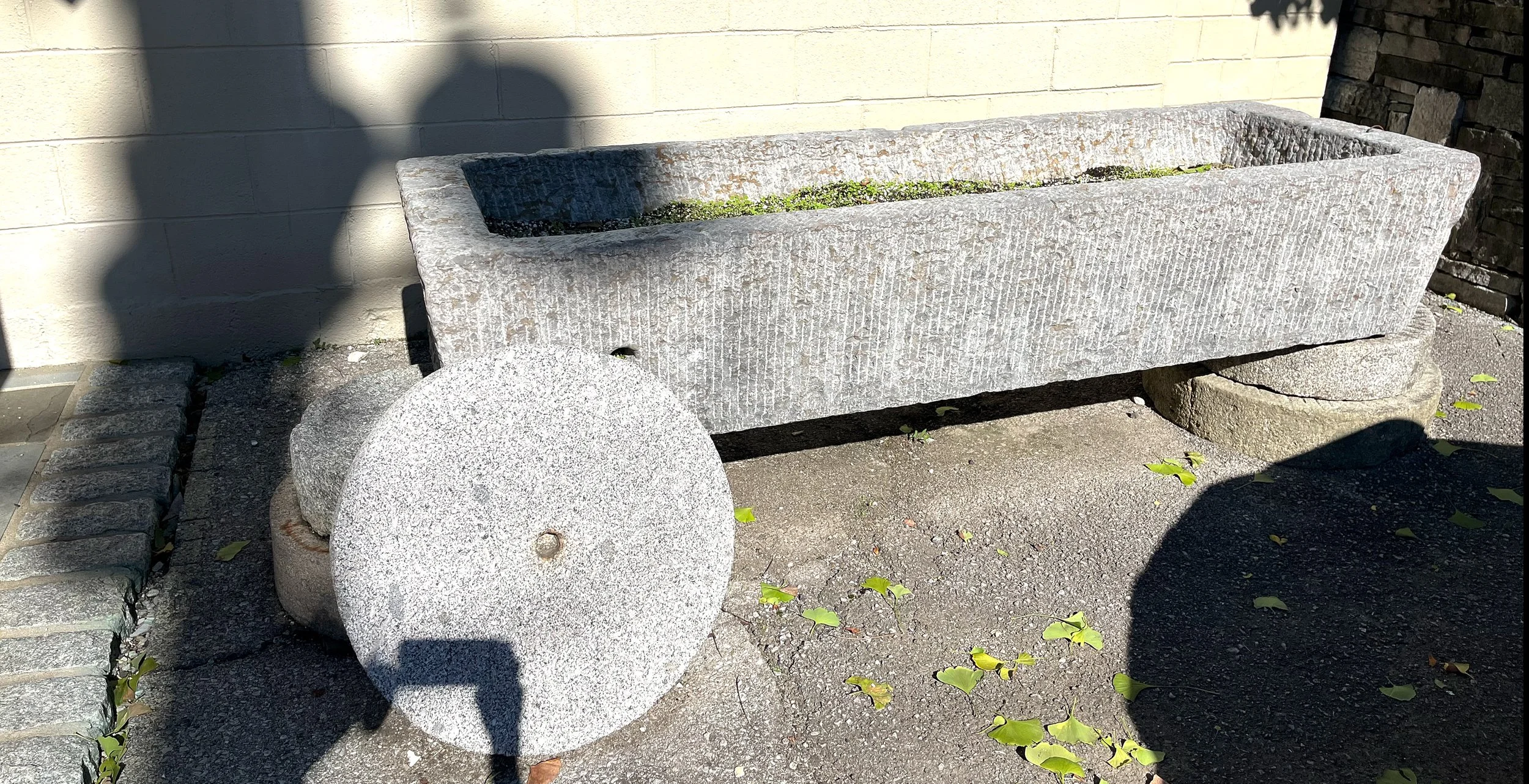 Large Trough in front-2.jpg