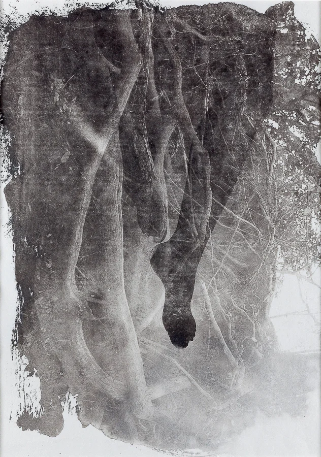 源于自然归于自然-22-360X250mm-铂金印象-2014.JPG