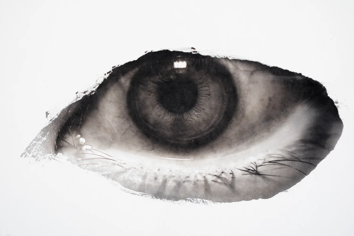 The black hole that fills my world%0A-04.JPG