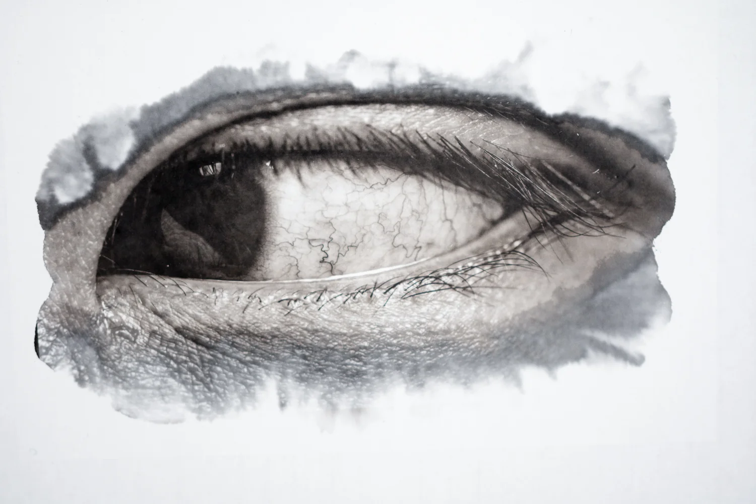 The black hole that fills my world%0A-05.JPG