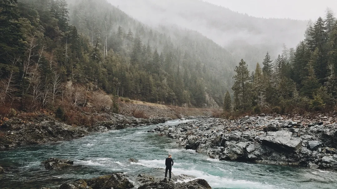 The art of solitude