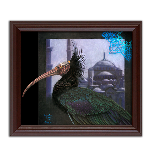 Northern Bald Ibis & Blue Mosque