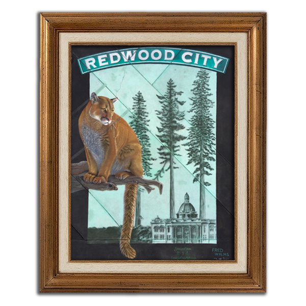 Redwood City Mountain Lion