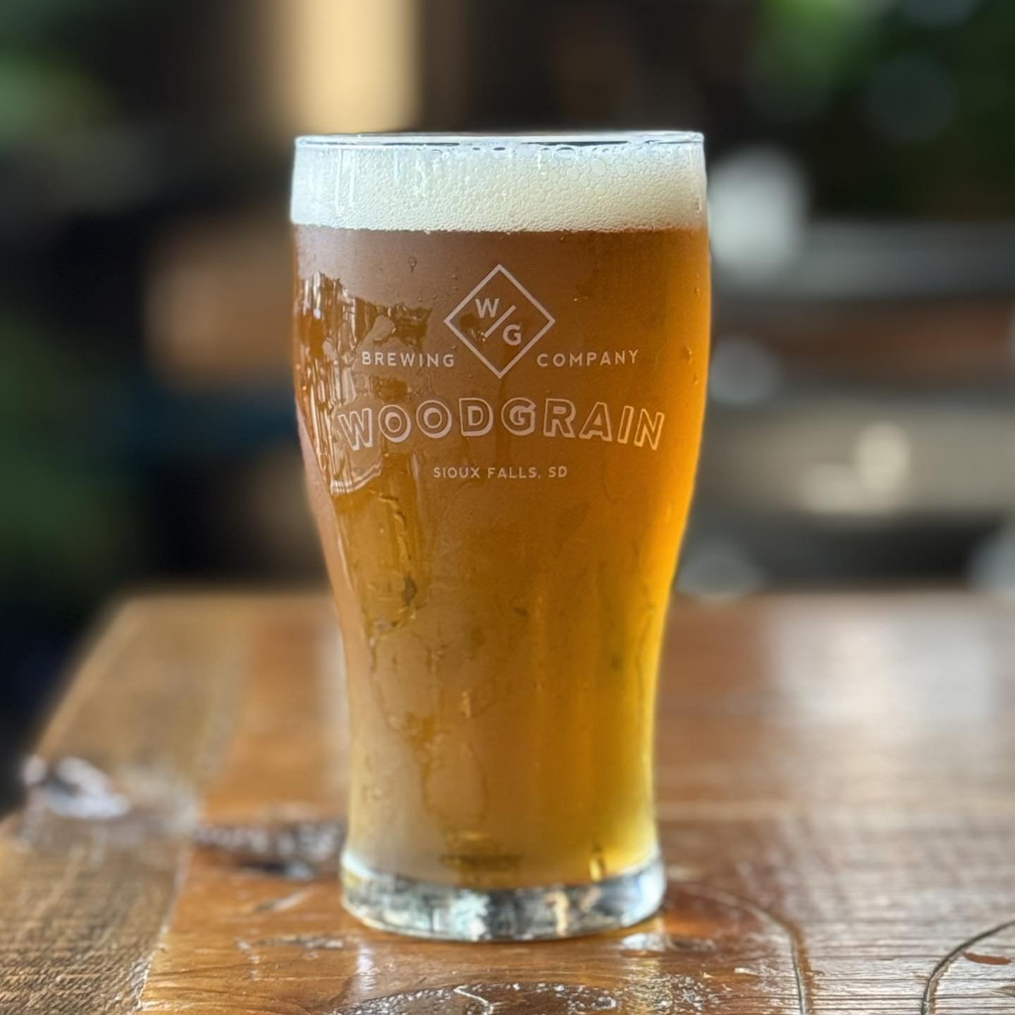 Beer.jpg