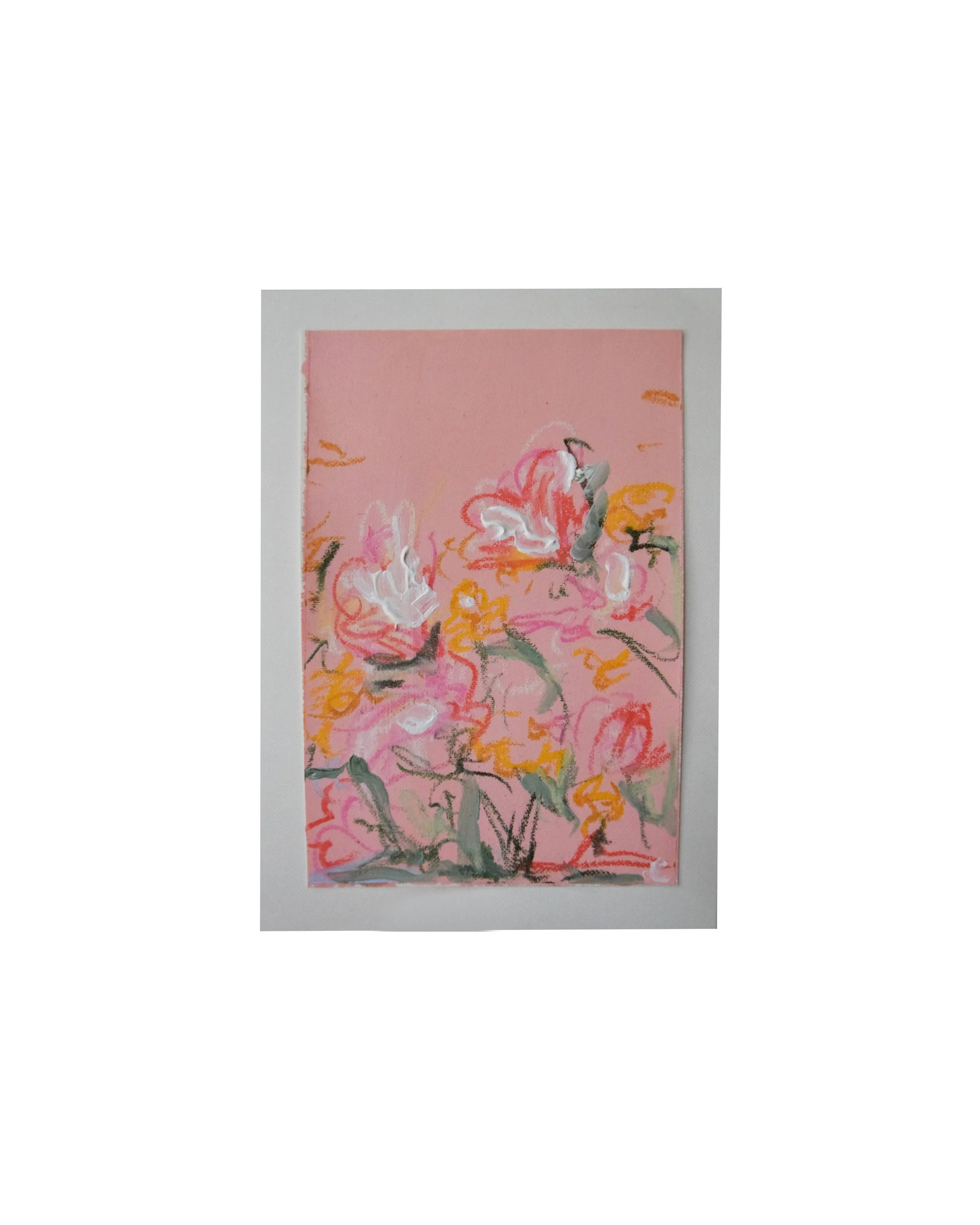 PINK 2 - WHITE.jpg
