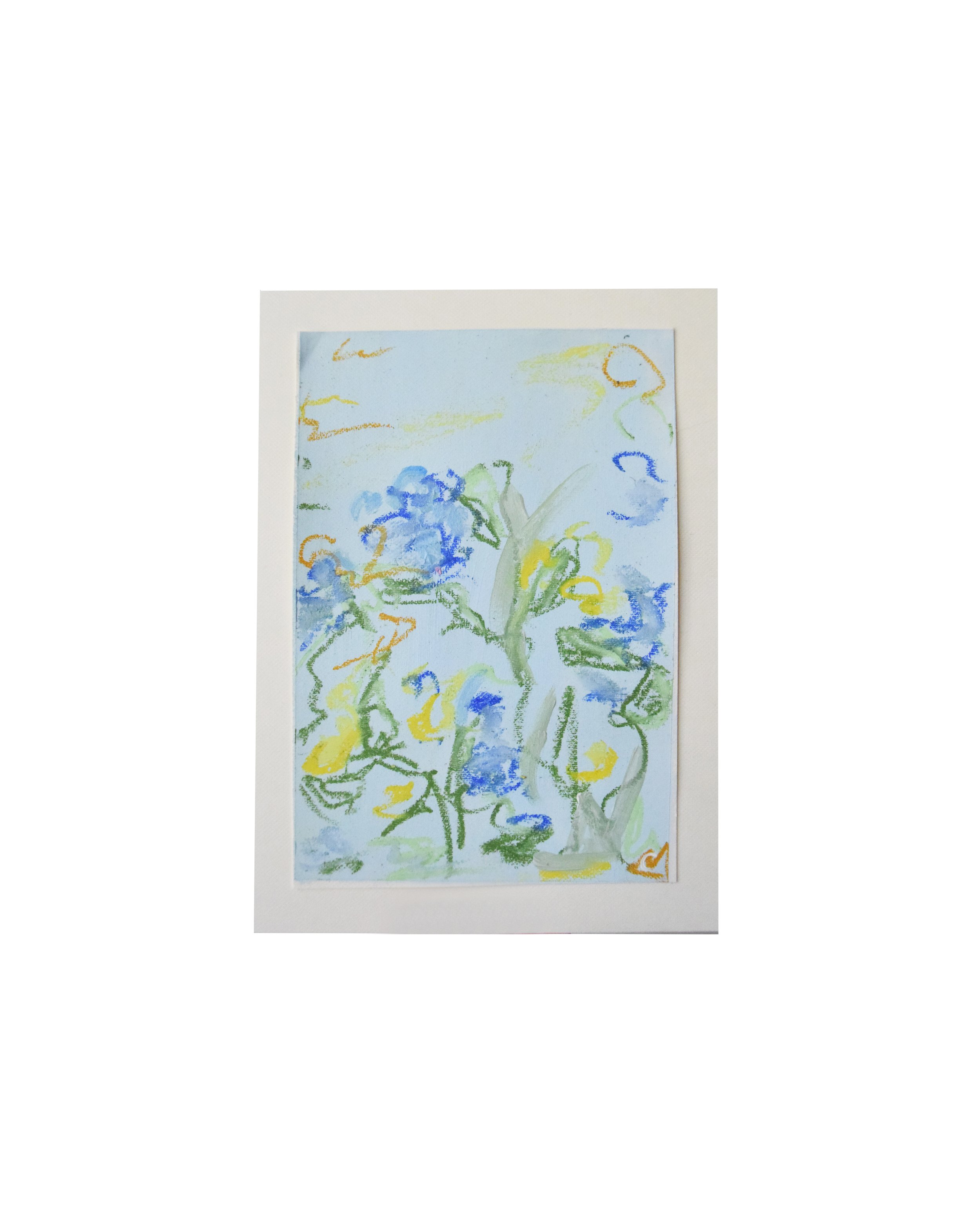 BLUE 2 - WHITE.jpg