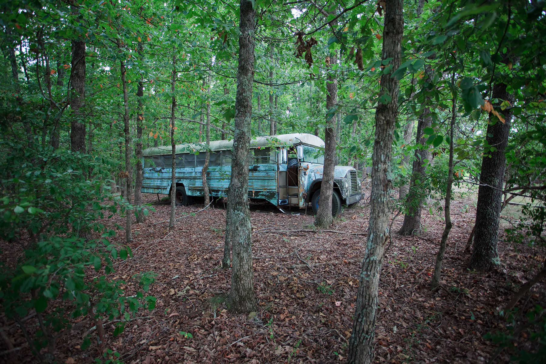 In 1971, Stephen and Ina May Gaskin led 300 followers in caravans of psychedelically painted school buses through 42 states from San Francisco to Tennessee. At the end of the tour The Farm was bought, and the The Farm Midwifery Center was establishe