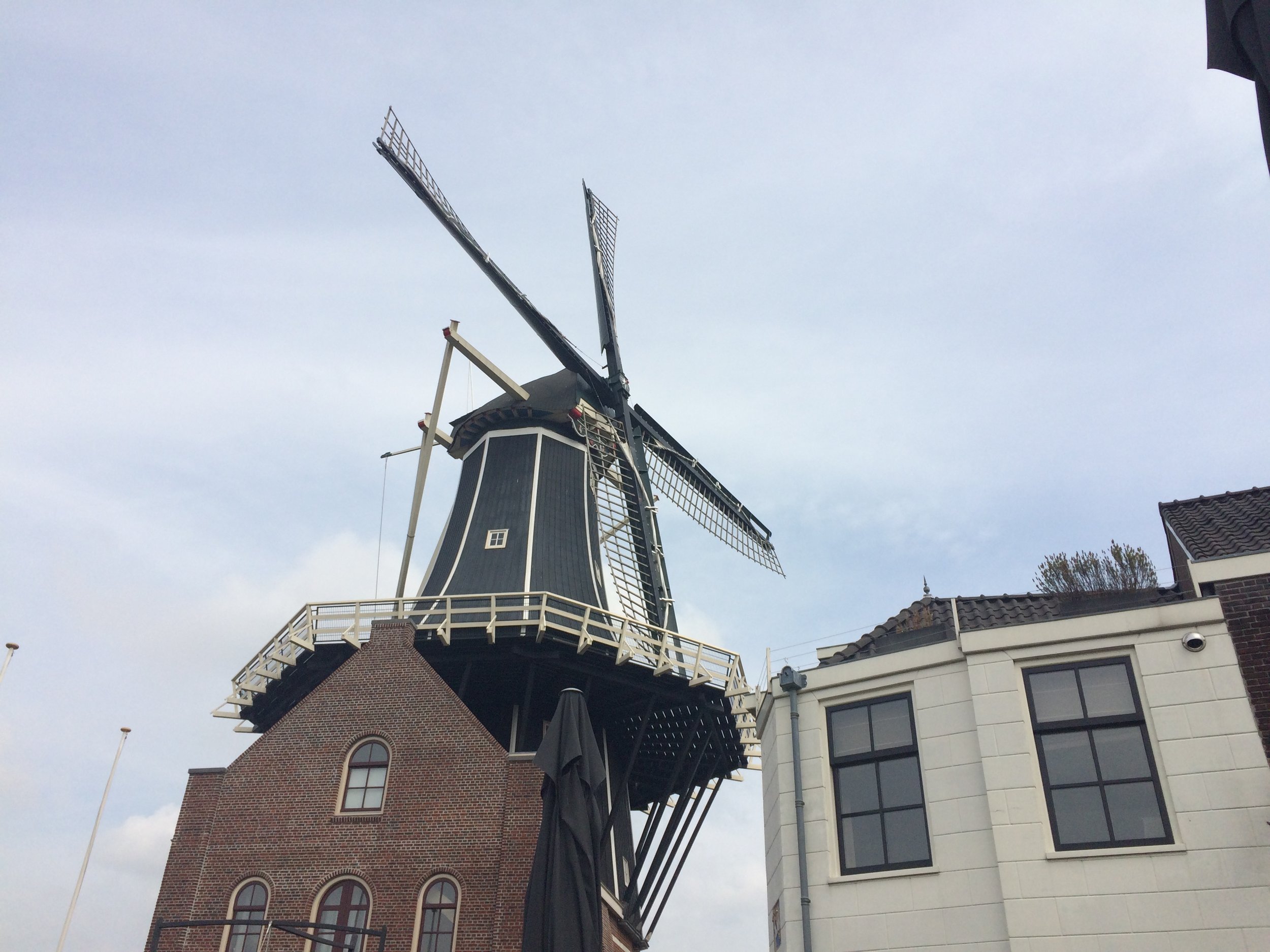 IMG_0672.JPG