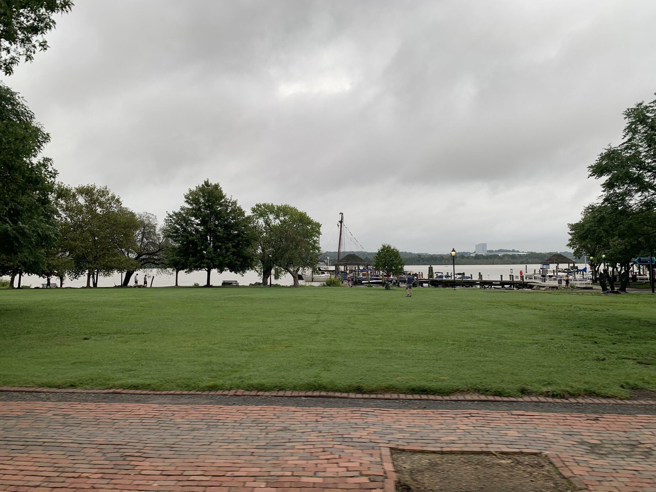 IMG_5320.jpg