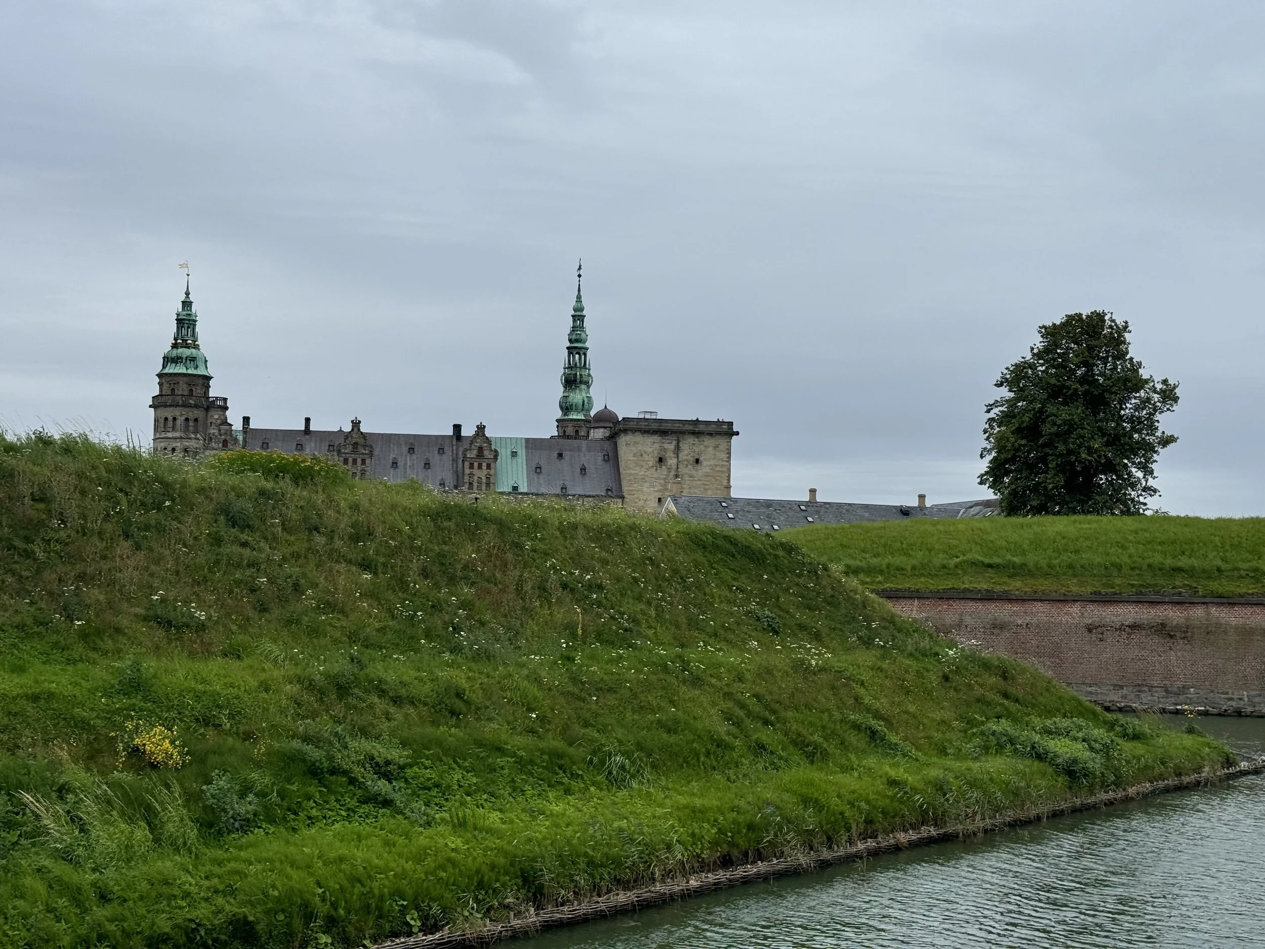 The Bard Said it Best - - Something is Rotten in the State of Denmark