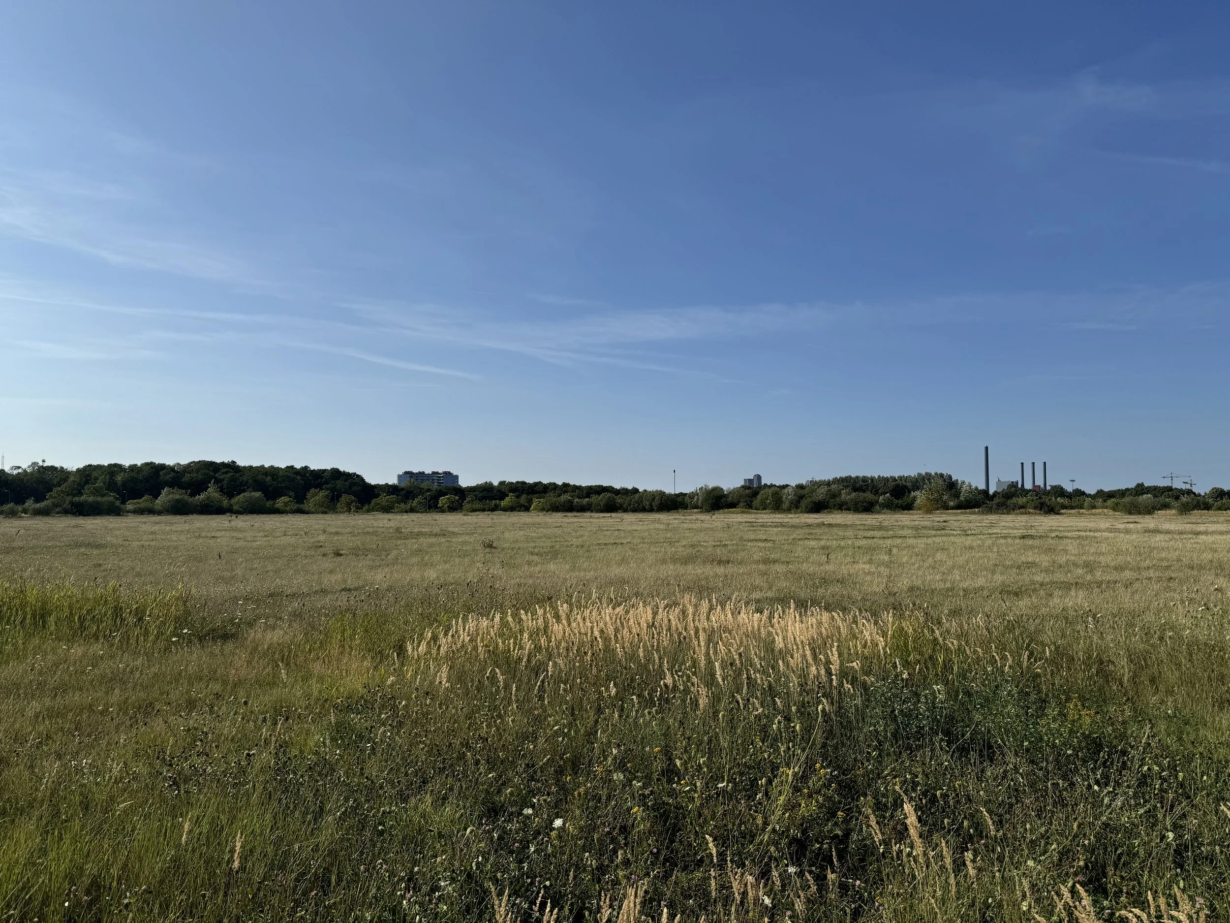 Meat Valhalla (and other things)