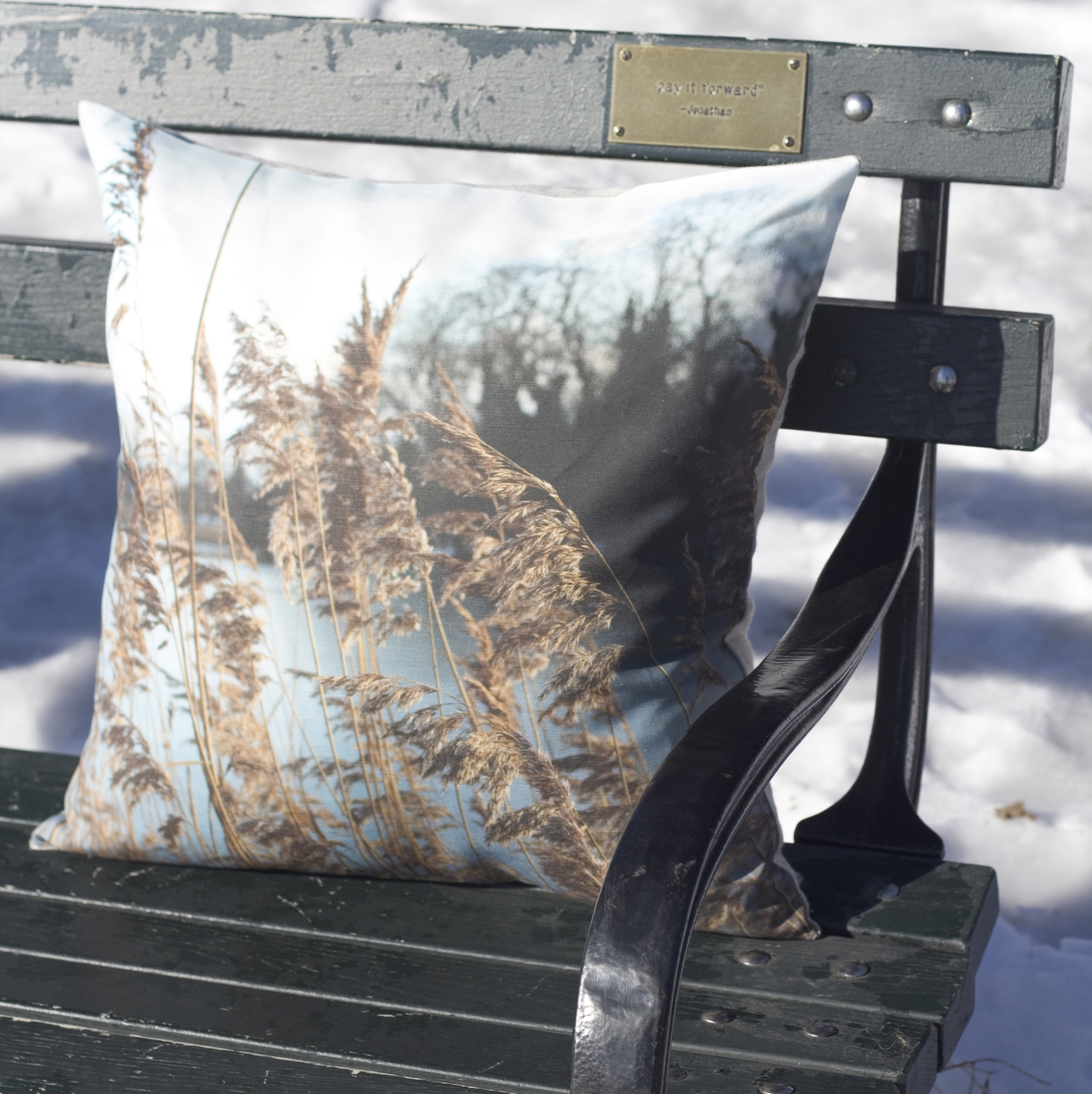 Bench - Weed.jpg