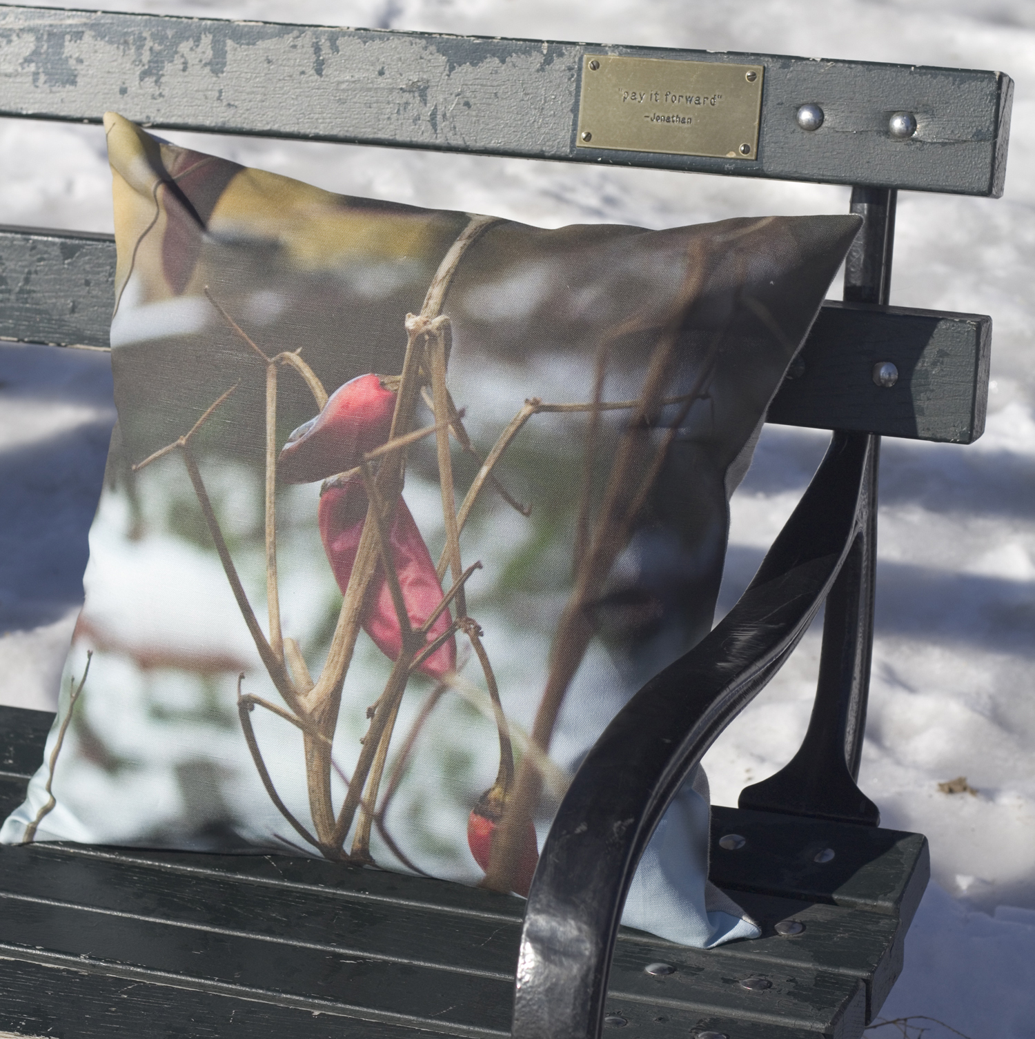 Bench - Chili.jpg