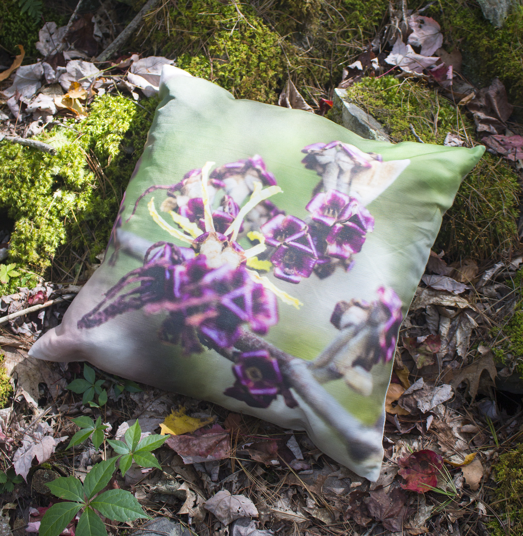 cabernet flower on moss.jpg