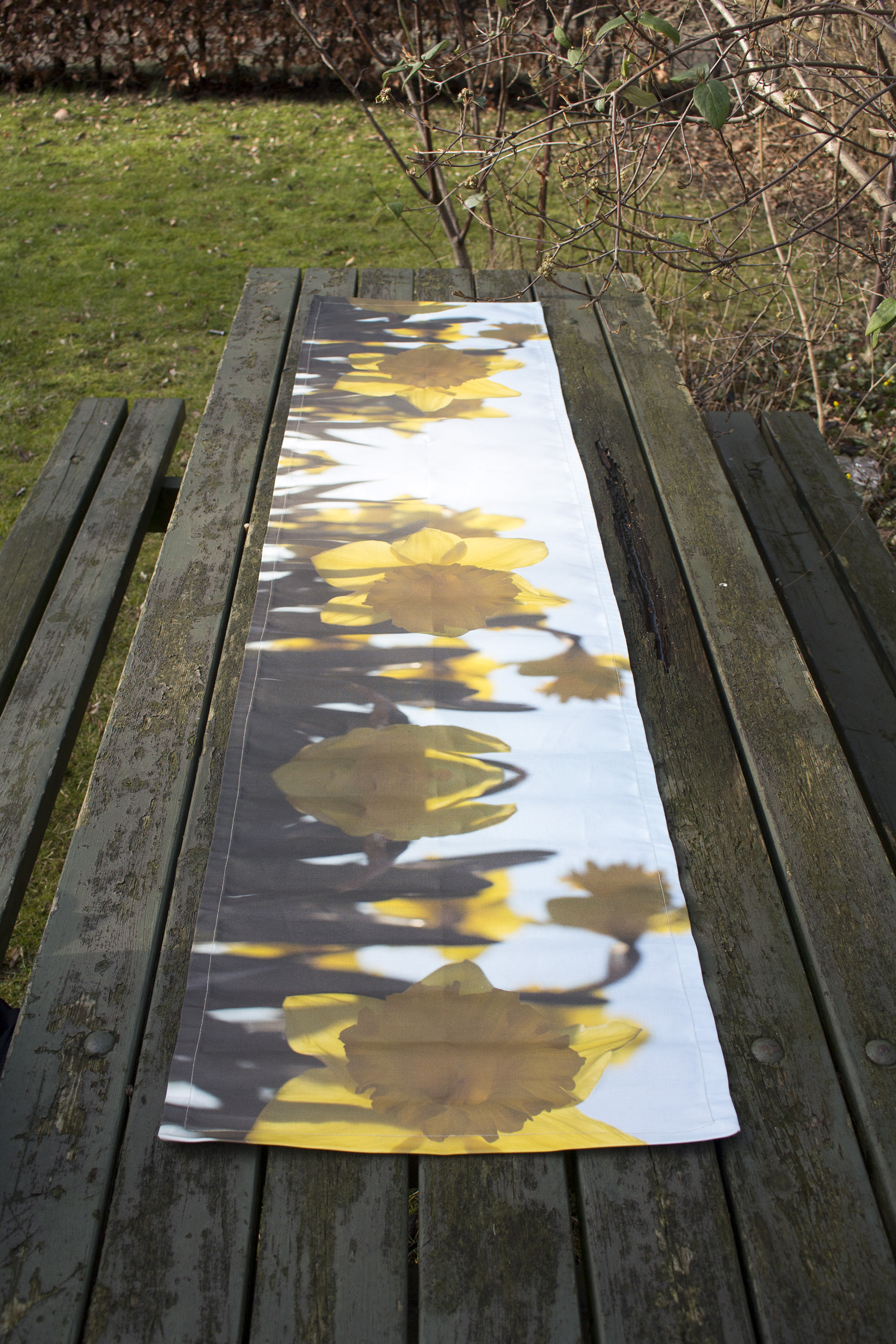 daffodils asmussens alle.jpg