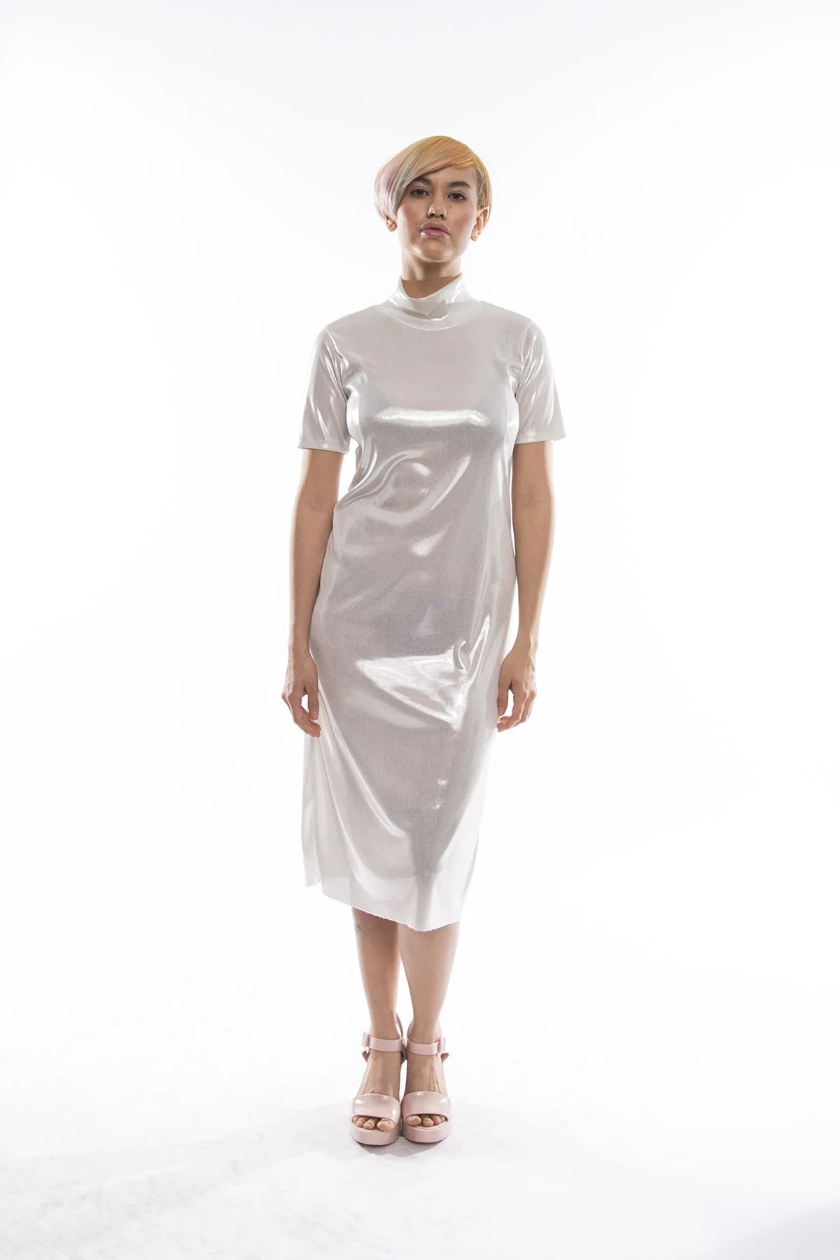 shiny dress apple 1.jpg