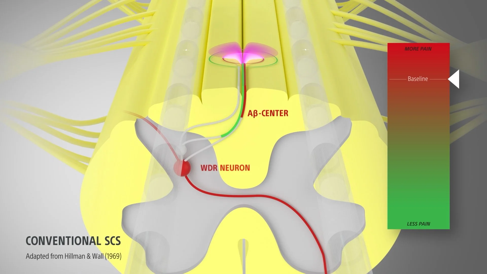 NM-888304-AA_Genus-Cartesia3D-StandaloneAnimation_original (1-01-53-05).jpg