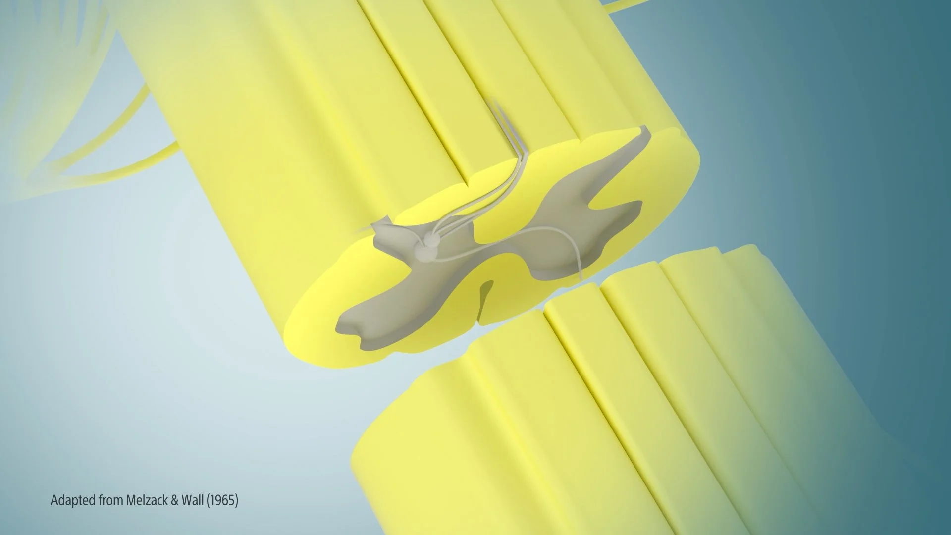 NM-888304-AA_Genus-Cartesia3D-StandaloneAnimation_original (1-01-33-02).jpg