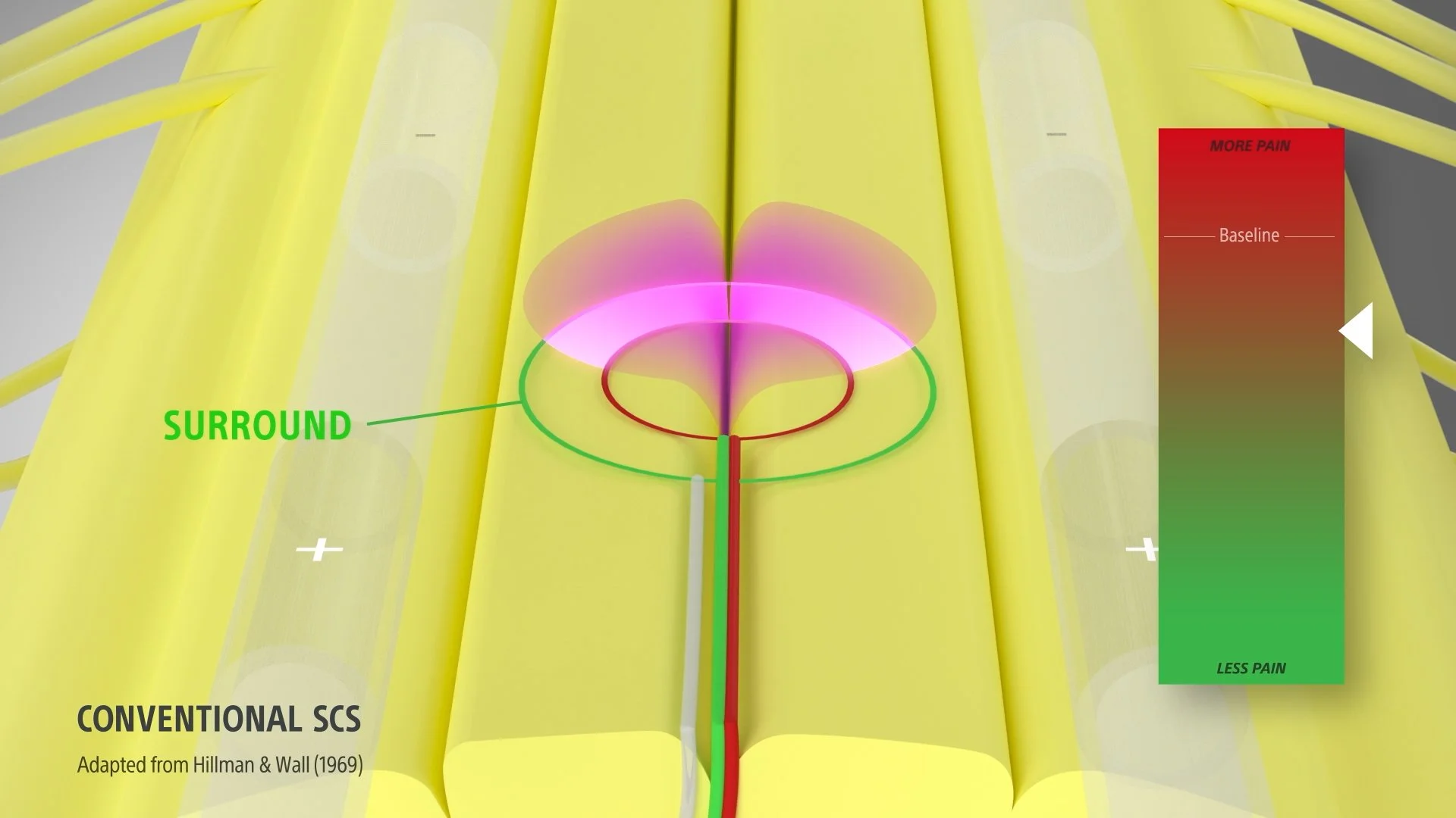 NM-888304-AA_Genus-Cartesia3D-StandaloneAnimation_original (1-02-06-26).jpg