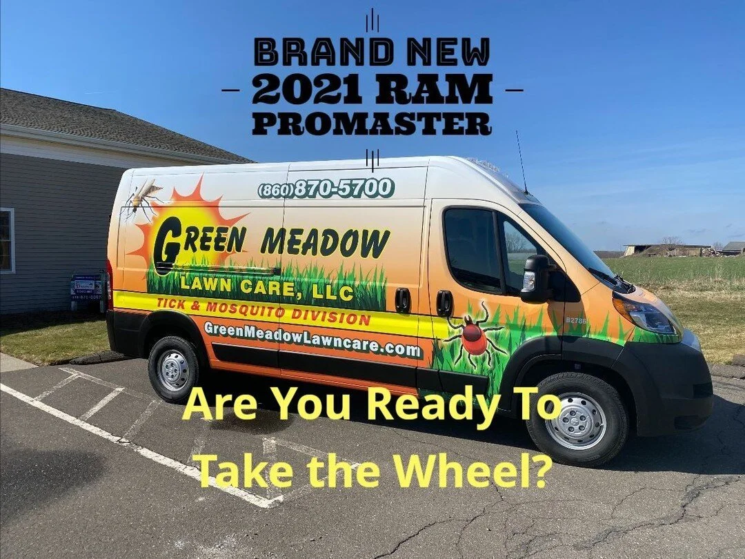 Green Meadow Lawn Care Ellington Connecticut