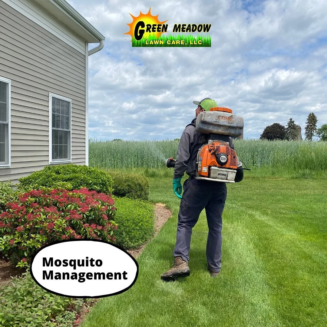 Green Meadow Lawn Care Ellington Connecticut