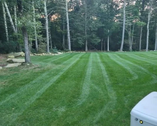 677c02aa72fd0f2574f6b71c