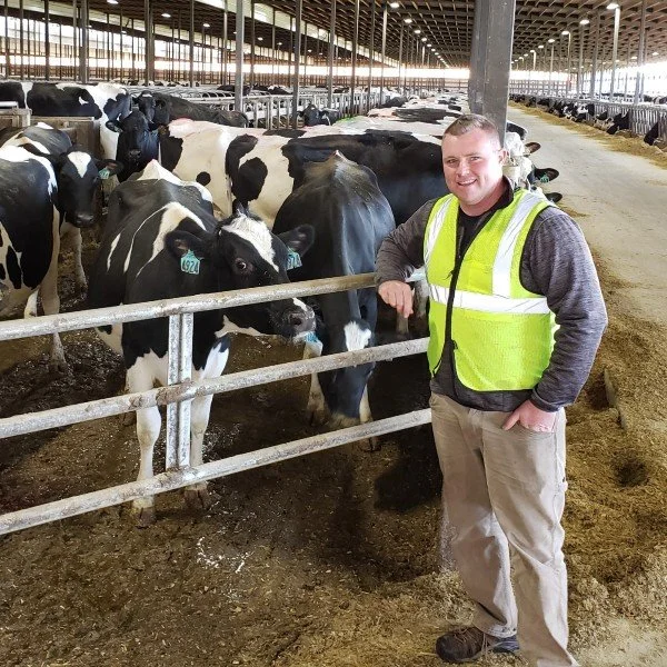 Local Lawn Care est. in 2007 in Ellington CT — Green Meadow Lawncare, LLC