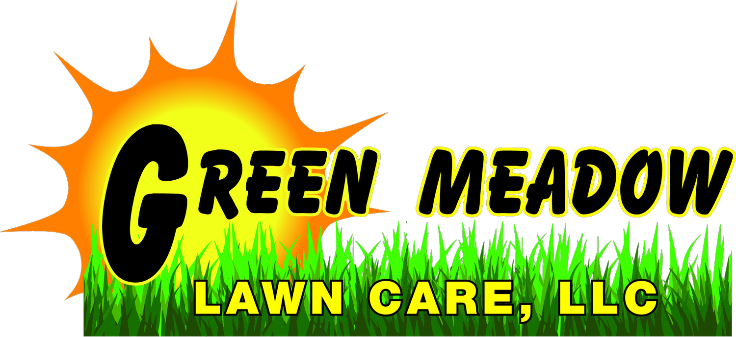 Stunning Green Meadow Lawn Care Images
