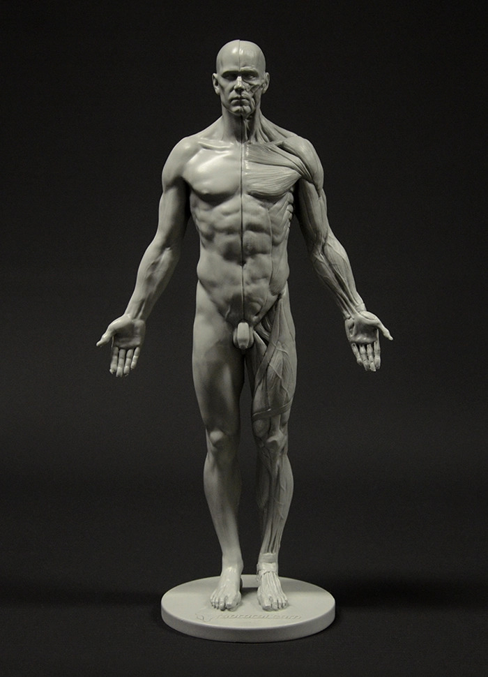 fig15.jpg
