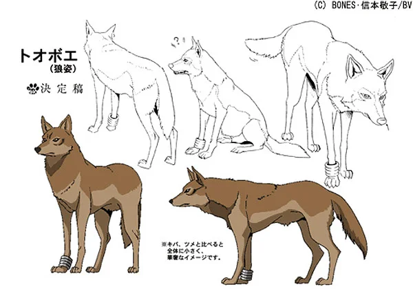 Art of Wolf's Rain
