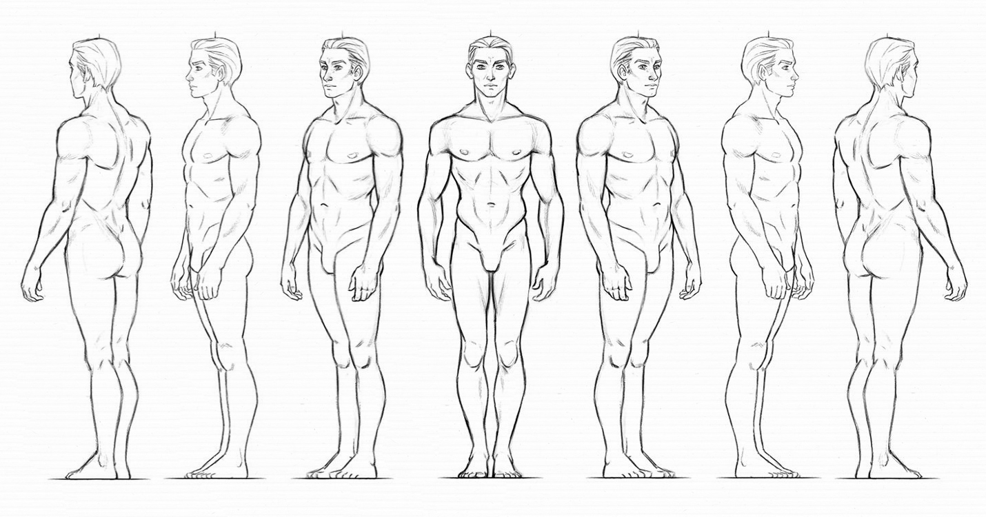 How To Draw The Male Body  Complete Figure Drawing  Patricia Caldeira   Skillshare