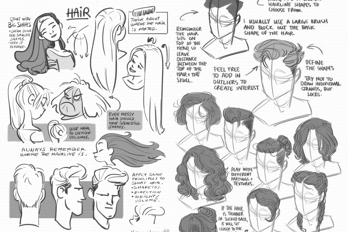 Character Anatomy Hair