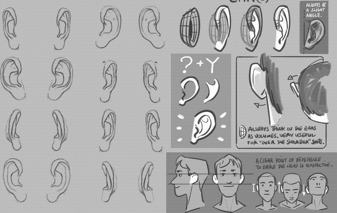 Featured image of post Ear Drawing Reference Cartoon You can edit any of drawings via our online image editor before downloading