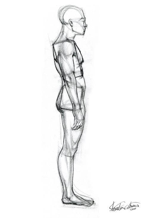 Week 7: #Figure #Drawing, #Anatomy of... - CG Master Academy | Facebook