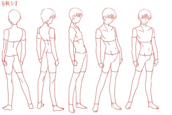 Character Anatomy | Male