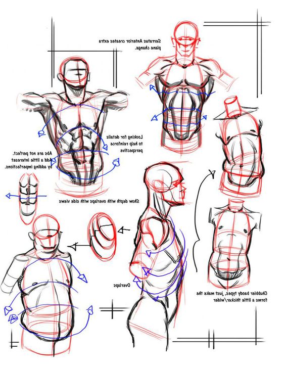 How to Draw Anime Body with Tutorial for Drawing Male Manga Bodies  How to  Draw Step by Step Drawing Tutorials