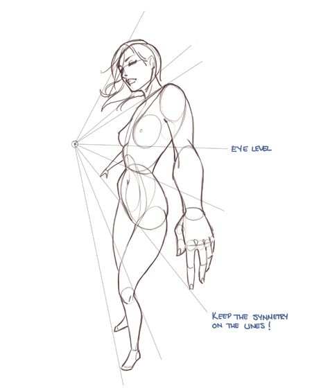 https://www.pinterest.ie/characterdesigh/character-anatomy-female/