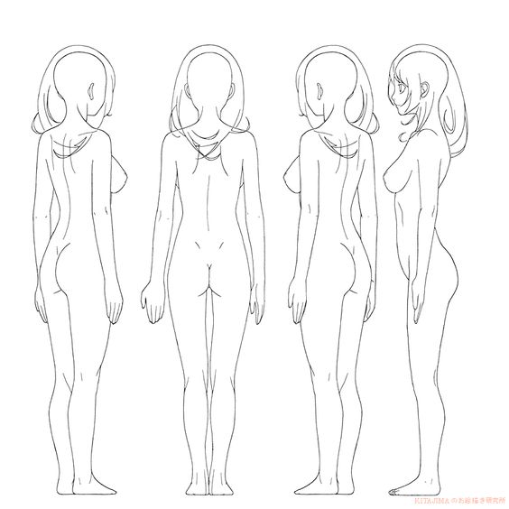 Drawing illustration of anatomy girl seen from back